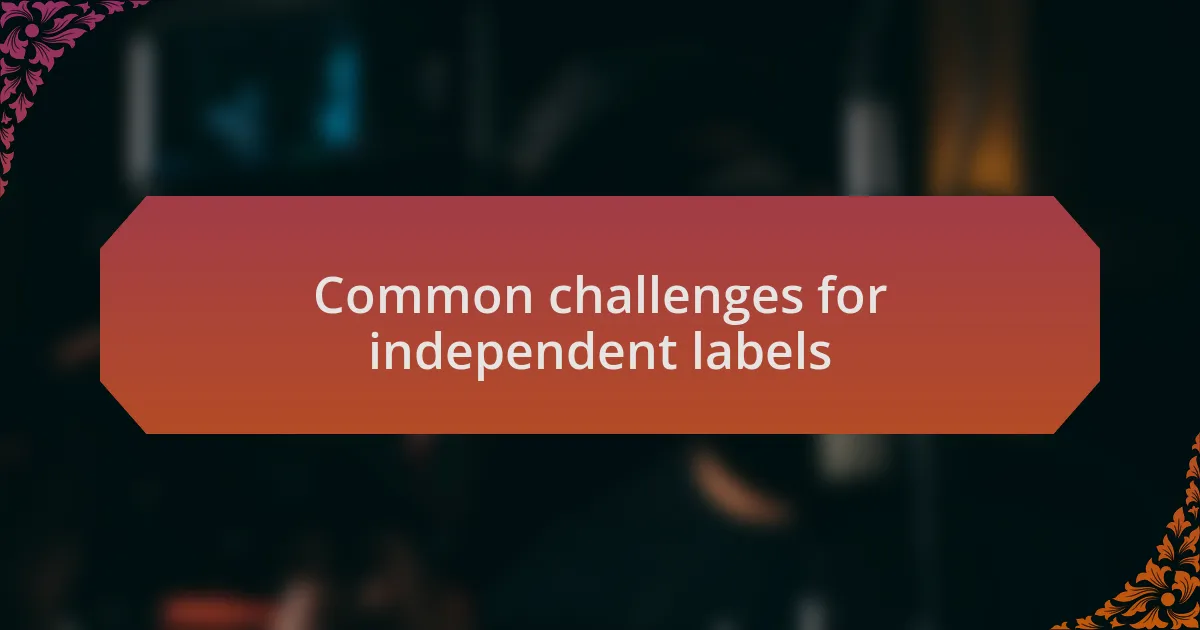 Common challenges for independent labels