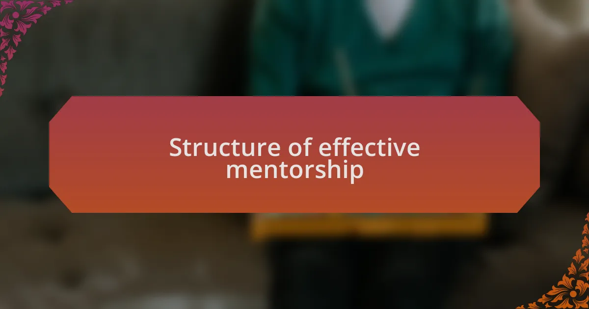 Structure of effective mentorship